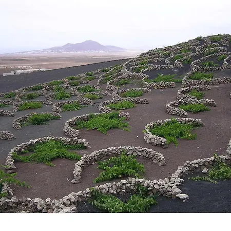 Estudio D - Costa Teguise